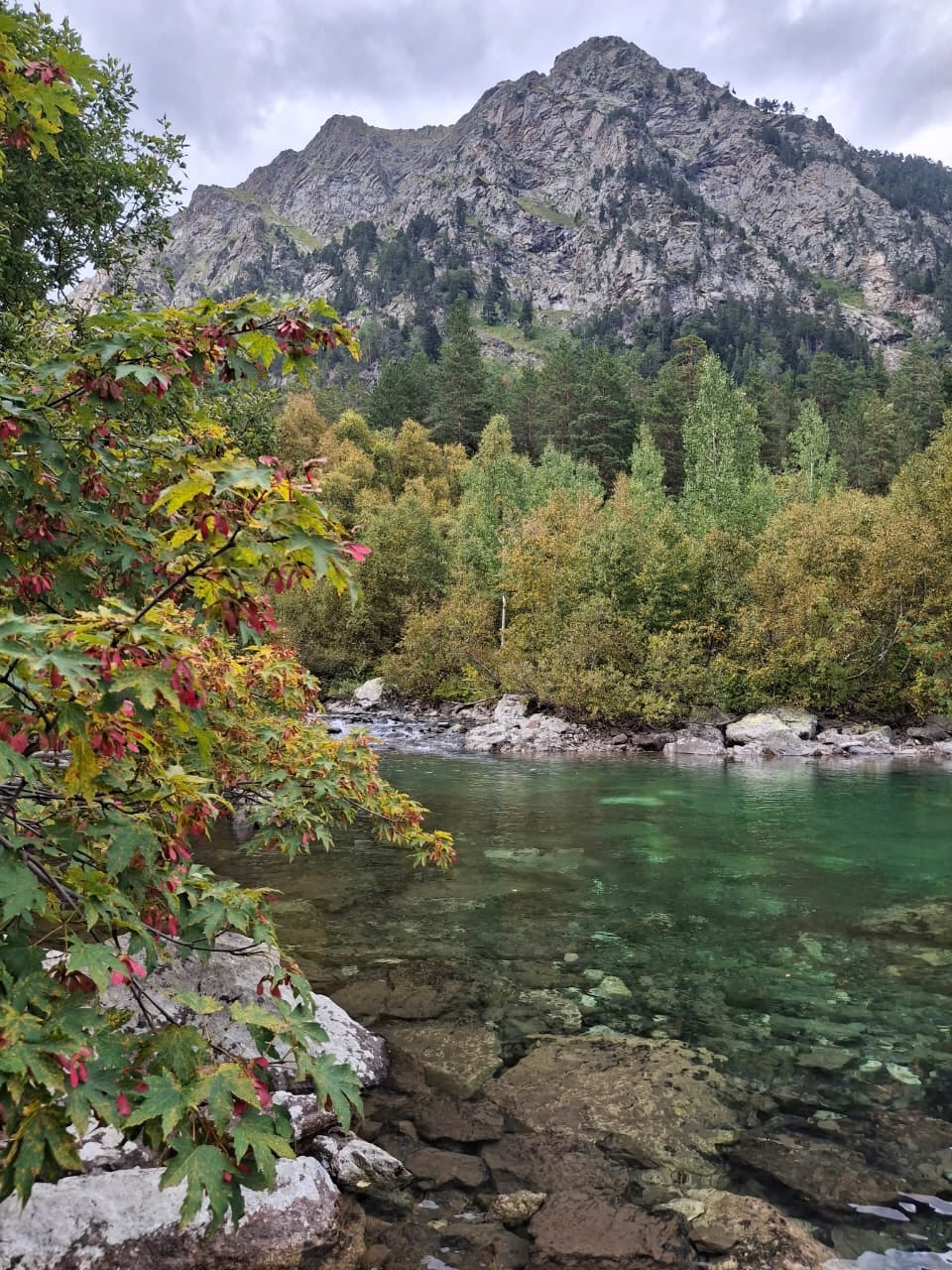 Mountains, river and forest
