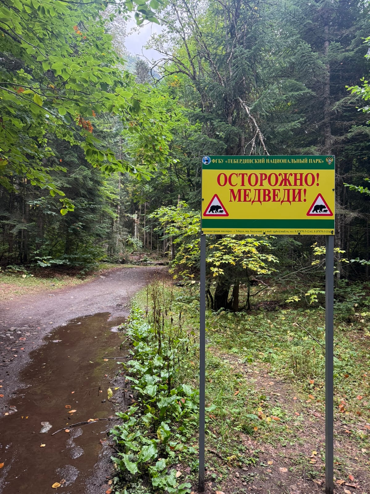 Forest road with warning sign