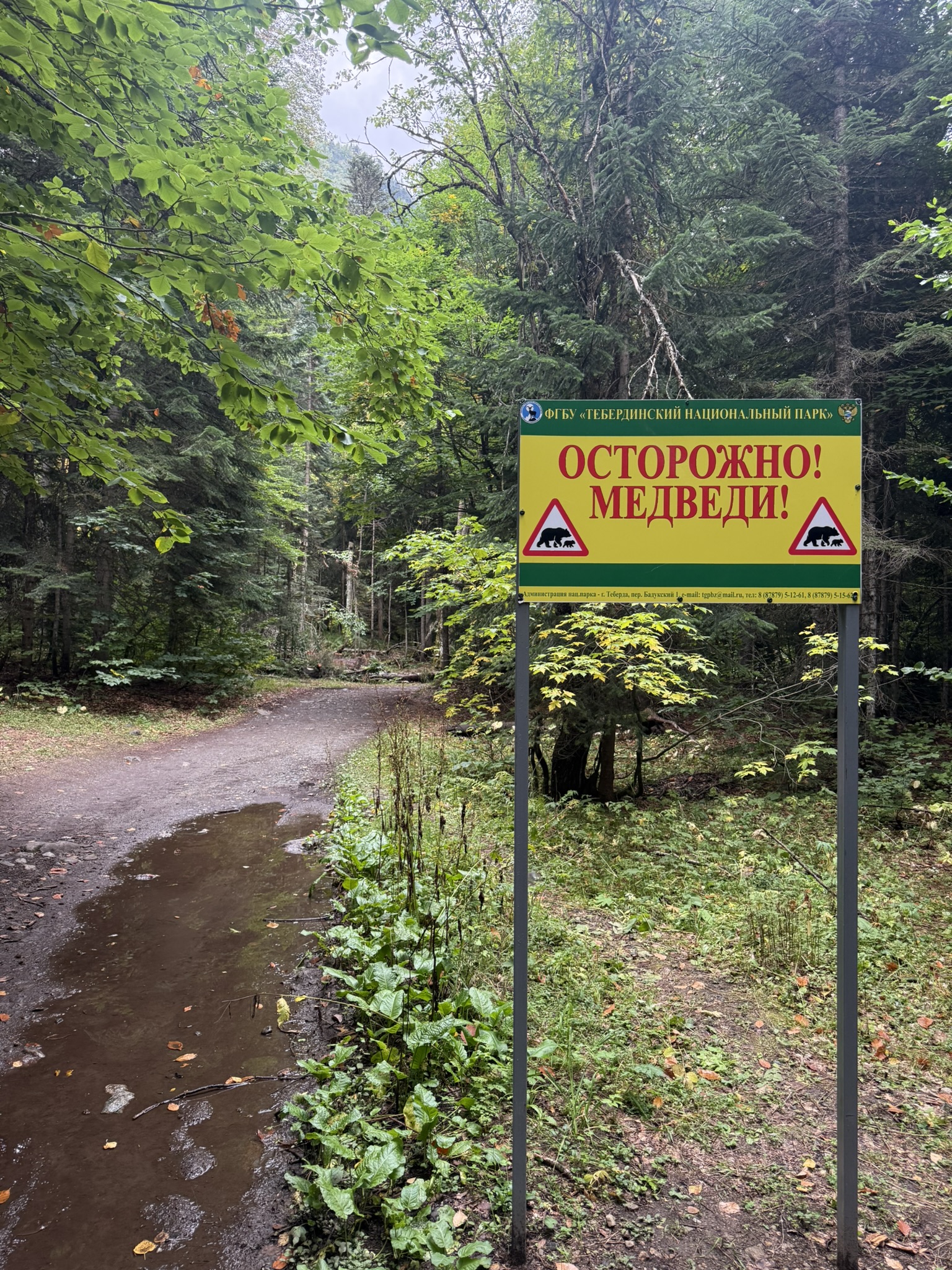 Forest road with warning sign