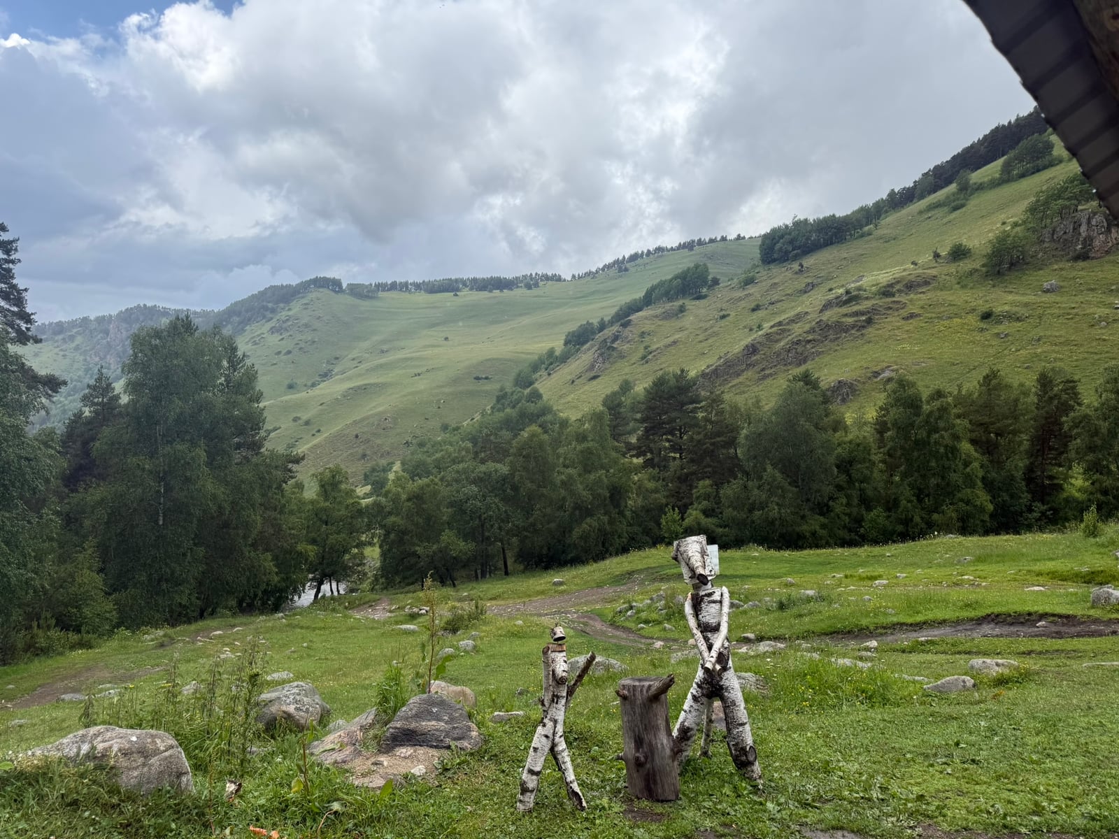 Mountains and forest