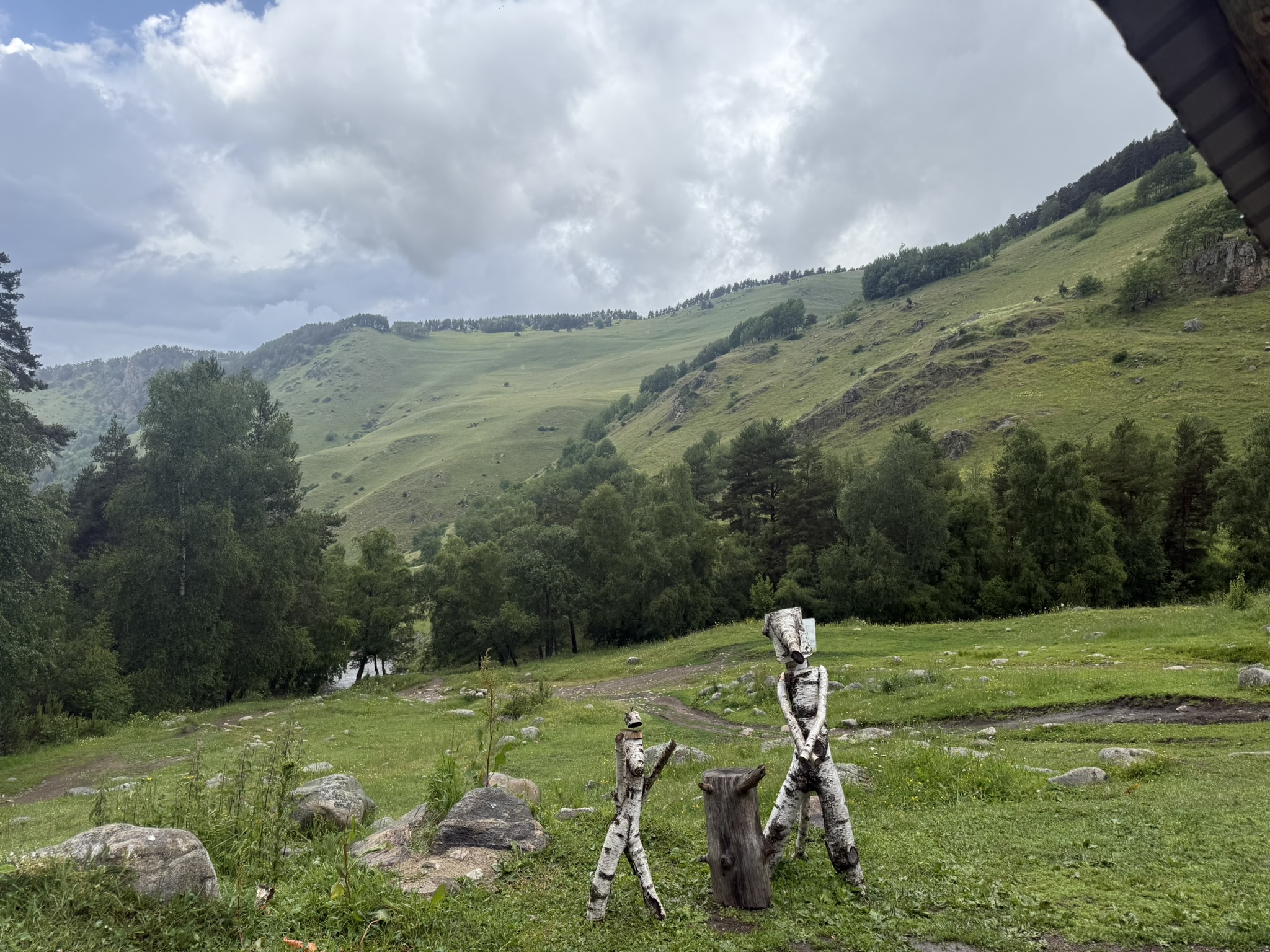 Mountains and forest