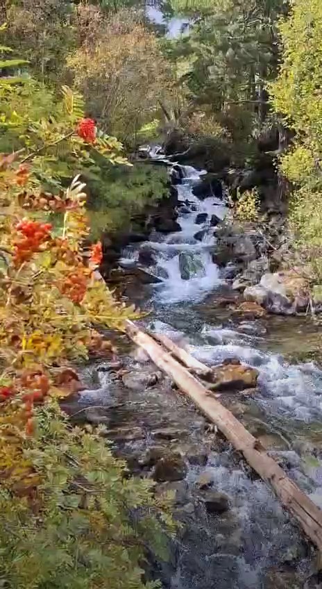 Rushing mountain stream