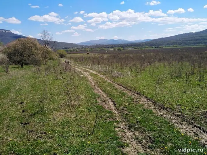 Dirt road in a field with a view of the mountains. A dirt road stretches through a green field, leading into the distance towards the mountains.