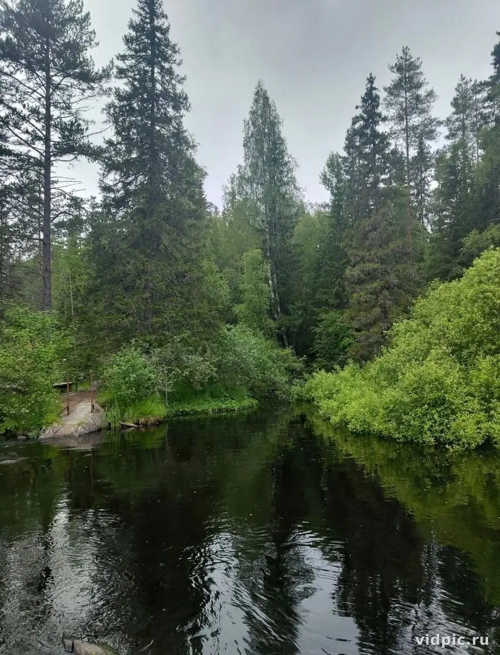 A tranquil forest lake with tree reflections in the water. The atmosphere is peaceful and serene, perfect for meditation or nature relaxation.