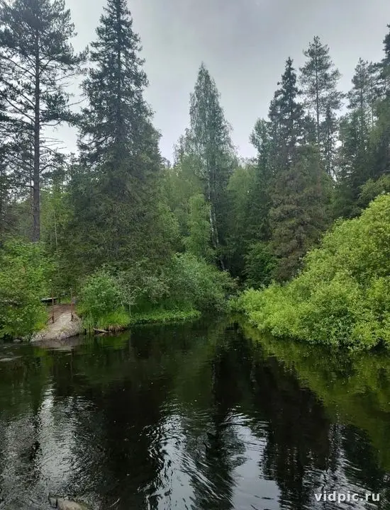 A tranquil forest lake with tree reflections in the water. The atmosphere is peaceful and serene, perfect for meditation or nature relaxation.