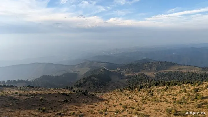 Mountains shrouded in fog, clear sky, dawn. Perfect for creating a sense of peace and tranquility.